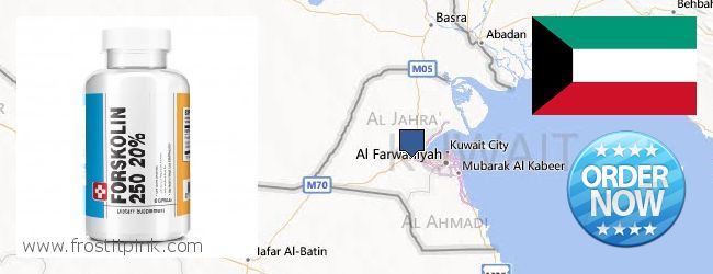 Nereden Alınır Forskolin çevrimiçi Kuwait