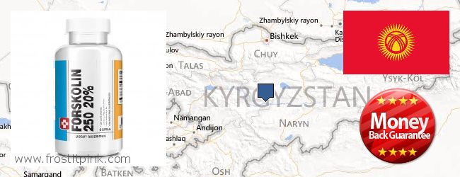 Buy Forskolin Extract online Kyrgyzstan
