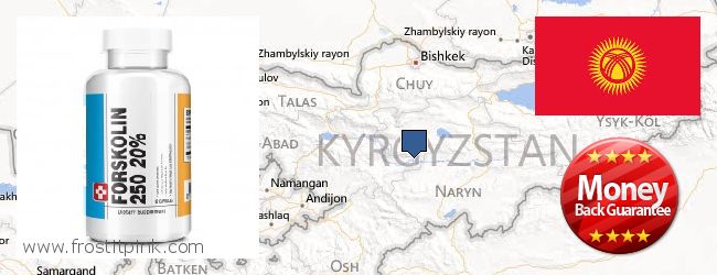 Gdzie kupić Forskolin w Internecie Kyrgyzstan