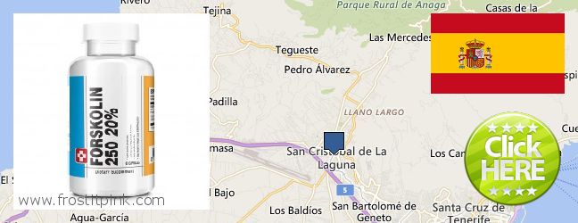 Where to Buy Forskolin Extract online La Laguna, Spain