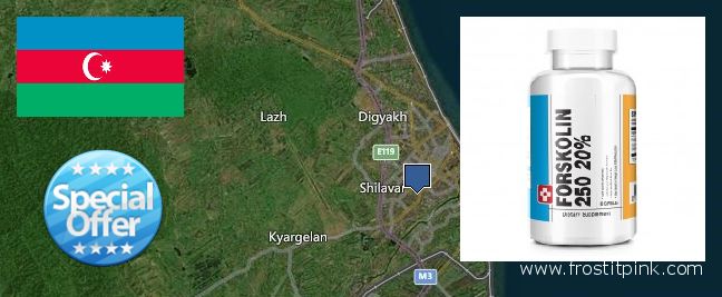 Where to Purchase Forskolin Extract online Lankaran, Azerbaijan