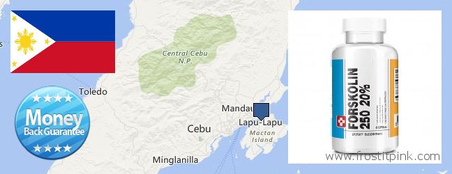 Where to Buy Forskolin Extract online Lapu-Lapu City, Philippines