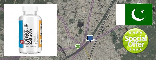 Where to Buy Forskolin Extract online Larkana, Pakistan