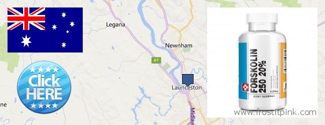 Where to Purchase Forskolin Extract online Launceston, Australia