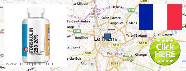 Purchase Forskolin Extract online Le Mans, France Where Can I Purchase Forskolin Extract online Le Mans, France