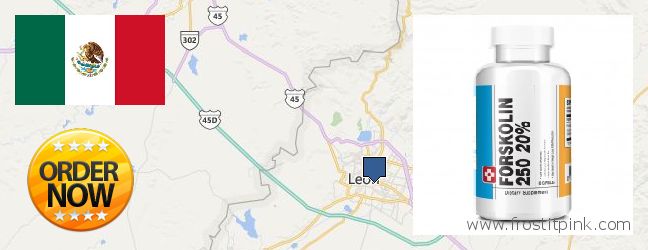 Dónde comprar Forskolin en linea Leon, Mexico