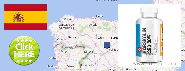 Purchase Forskolin Extract online Leon, Spain