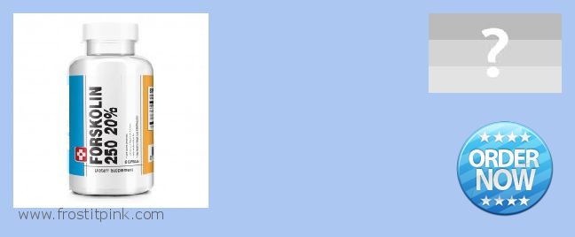 Where to Purchase Forskolin Extract online Leskovac, Serbia and Montenegro