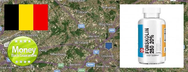 Where to Purchase Forskolin Extract online Leuven, Belgium