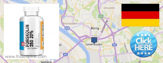 Where to Buy Forskolin Extract online Leverkusen, Germany