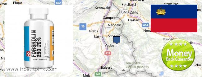 Where to Purchase Forskolin Extract online Liechtenstein
