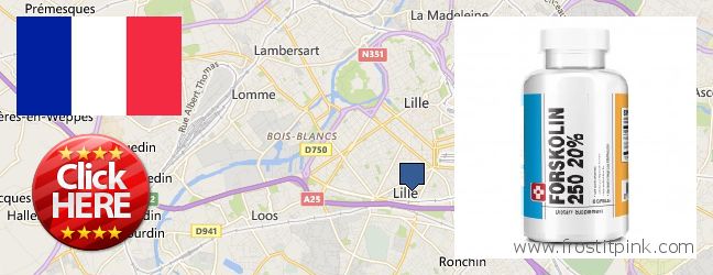 Best Place to Buy Forskolin Extract online Lille, France