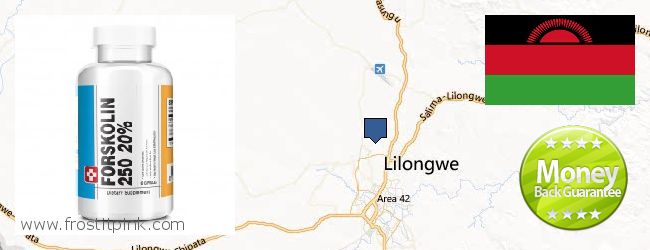 Where to Purchase Forskolin Extract online Lilongwe, Malawi