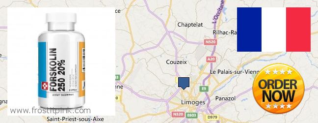 Où Acheter Forskolin en ligne Limoges, France