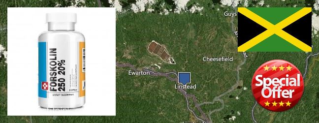 Purchase Forskolin Extract online Linstead, Jamaica Where Can I Purchase Forskolin Extract online Linstead, Jamaica