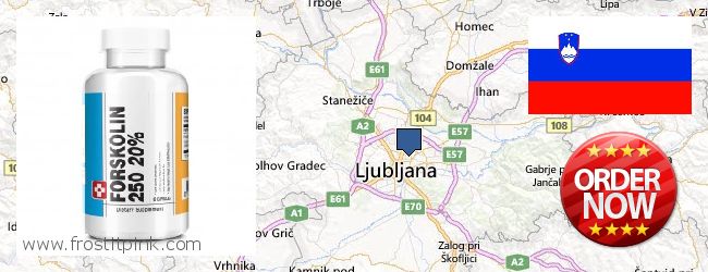 Where to Buy Forskolin Extract online Ljubljana, Slovenia