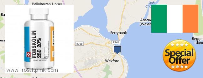 Best Place to Buy Forskolin Extract online Loch Garman, Ireland