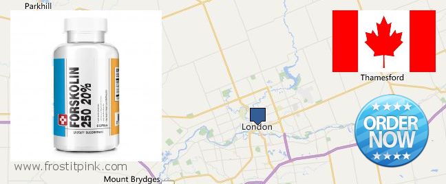 Where to Buy Forskolin Extract online London, Canada