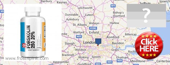 Where to Buy Forskolin Extract online London, UK