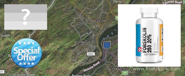 Purchase Forskolin Extract online Londonderry County Borough, UK Where to Buy Forskolin Extract online Londonderry County Borough, UK