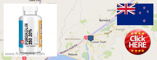 Where to Buy Forskolin Extract online Lower Hutt, New Zealand