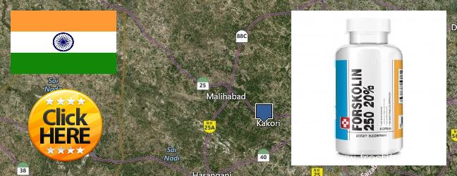 Purchase Forskolin Extract online Lucknow, India Where Can I Buy Forskolin Extract online Lucknow, India