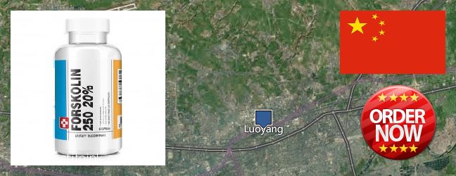 Buy Forskolin Extract online Luoyang, China Buy Forskolin Extract online Luoyang, China