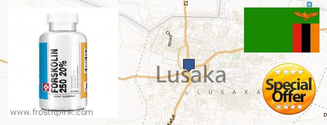 Best Place to Buy Forskolin Extract online Lusaka, Zambia