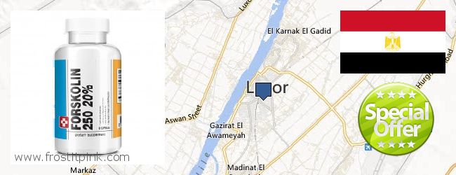 Buy Forskolin Extract online Luxor, Egypt