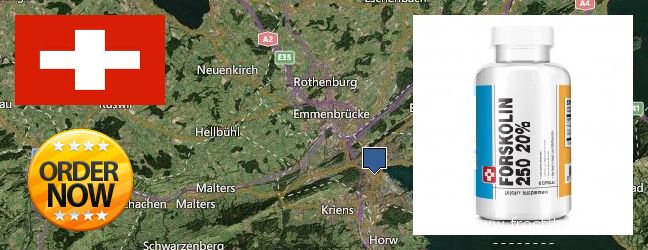 Where to Buy Forskolin Extract online Luzern, Switzerland