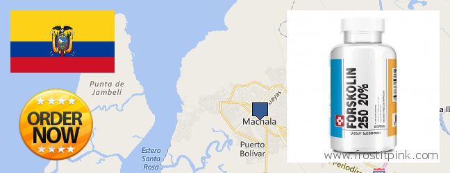 Dónde comprar Forskolin en linea Machala, Ecuador