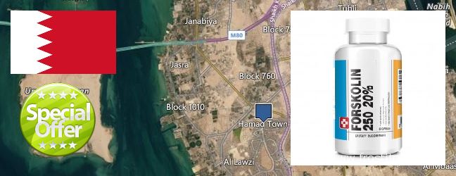Where to Buy Forskolin Extract online Madinat Hamad, Bahrain