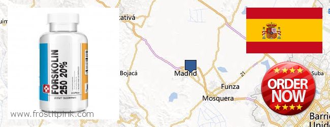 Where to Buy Forskolin Extract online Madrid, Spain