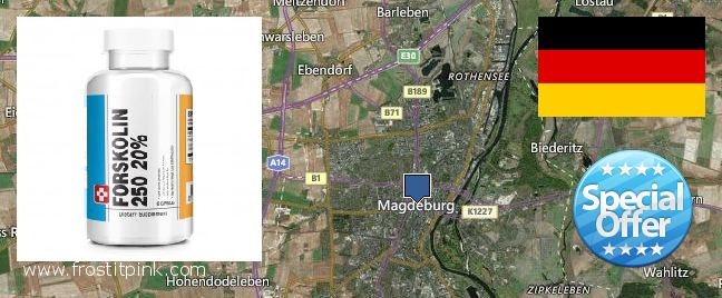 Hvor kan jeg købe Forskolin online Magdeburg, Germany
