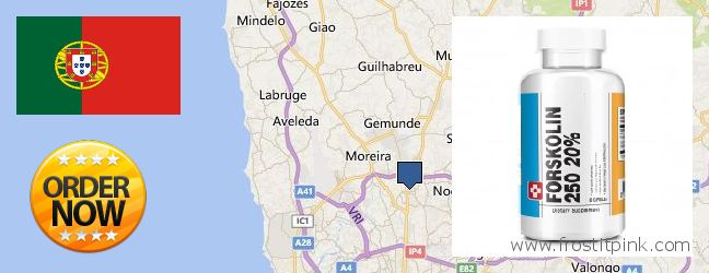 Where to Purchase Forskolin Extract online Maia, Portugal