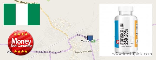 Best Place to Buy Forskolin Extract online Maiduguri, Nigeria