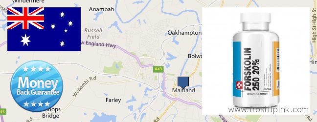 Where to Buy Forskolin Extract online Maitland, Australia