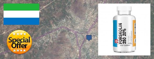 Where to Purchase Forskolin Extract online Makeni, Sierra Leone