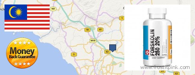 Best Place to Buy Forskolin Extract online Malacca, Malaysia