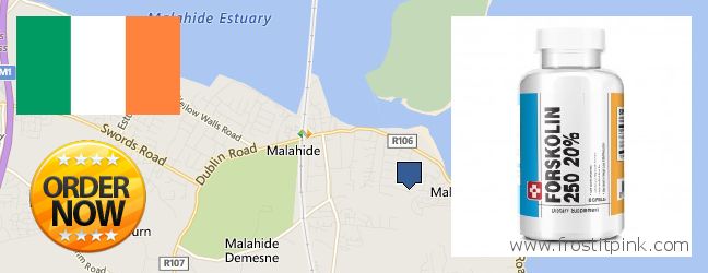 Where to Purchase Forskolin Extract online Malahide, Ireland