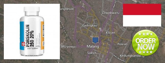 Where Can I Purchase Forskolin Extract online Malang, Indonesia