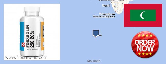 Kde kúpiť Forskolin on-line Maldives