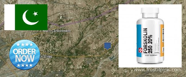 Purchase Forskolin Extract online Malir Cantonment, Pakistan Where Can I Buy Forskolin Extract online Malir Cantonment, Pakistan