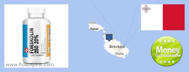 Where to Buy Forskolin Extract online Malta