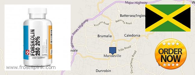 Buy Forskolin Extract online Mandeville, Jamaica Buy Forskolin Extract online Mandeville, Jamaica