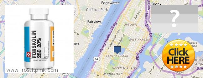 Wo kaufen Forskolin online Manhattan, USA