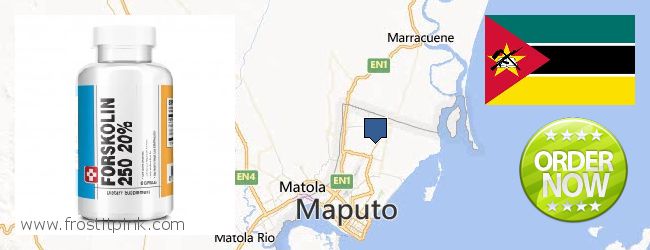 Onde Comprar Forskolin on-line Maputo, Mozambique