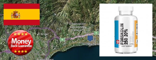 Where to Buy Forskolin Extract online Marbella, Spain