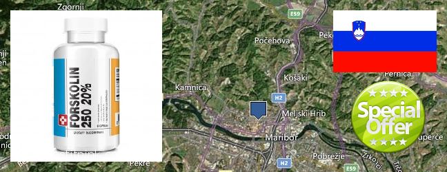 Dove acquistare Forskolin in linea Maribor, Slovenia