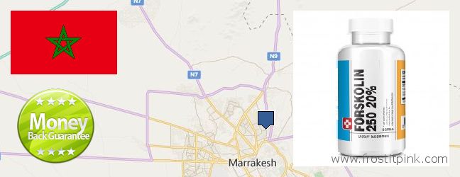 Purchase Forskolin Extract online Marrakesh, Morocco Where to Buy Forskolin Extract online Marrakesh, Morocco